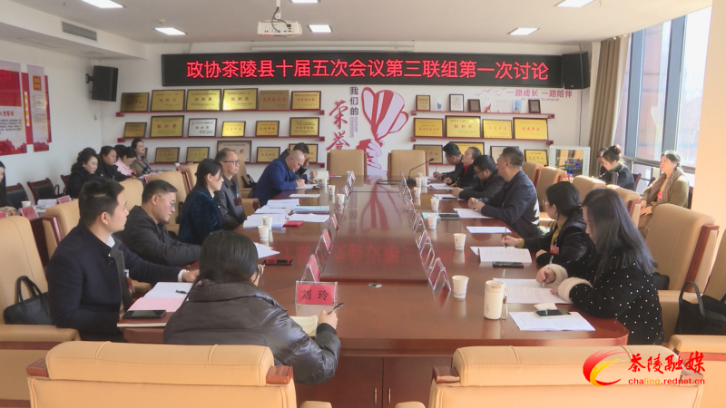 政协茶陵县第十届委员会第五次会议：开展分联组第一次讨论 刘晓伟等领导参加讨论