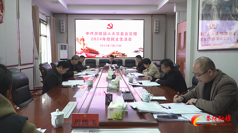 县人大常委会党组召开2024年度民主生活会