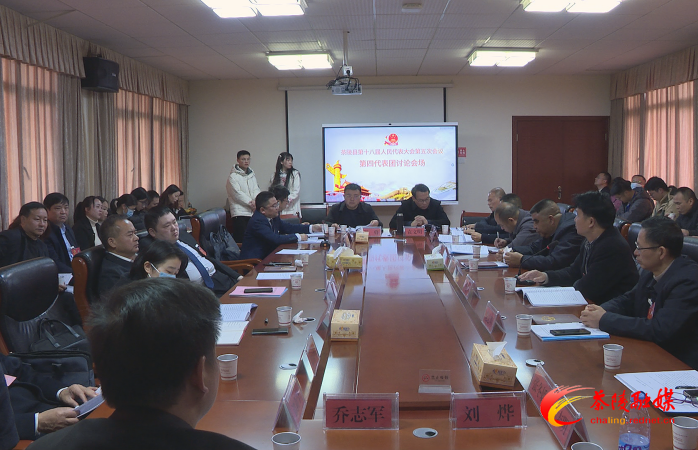 茶陵县第十八届人民代表大会第五次会议：各代表团进行分团讨论 杨红兵、唐杰、何文龙等领导参加