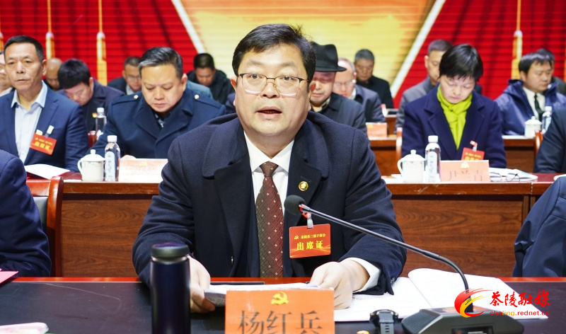2025年茶陵县三级干部大会暨打造“三个高地”讲评、实施“三个年”“七大攻坚”活动动员部署会召开
