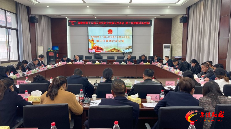 茶陵县第十八届人民代表大会第五次会议：各代表团进行分团讨论 杨红兵、唐杰、何文龙等领导参加