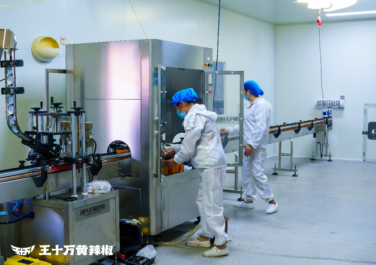 渌口区：劳务品牌“四步走” 激活就业 新引擎