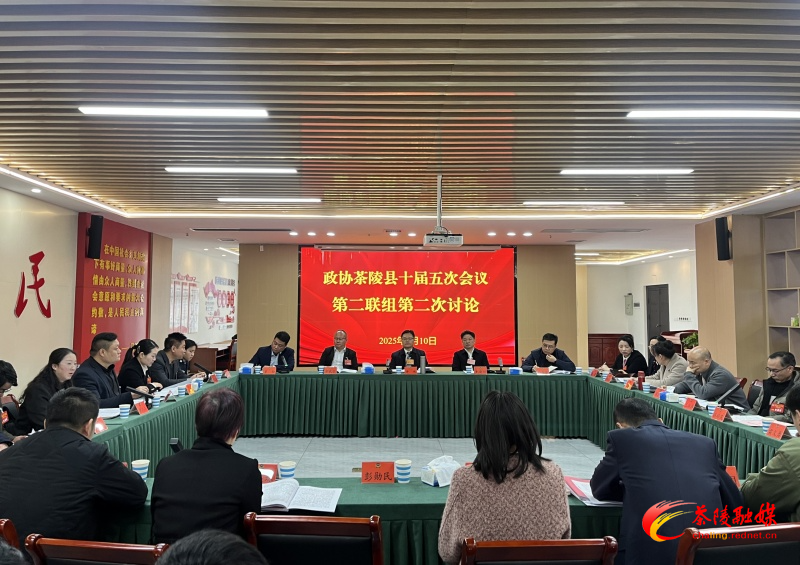 政协茶陵县第十届委员会第五次会议:开展分联组第二次讨论 杨红兵、唐杰、刘晓伟等领导参加讨论