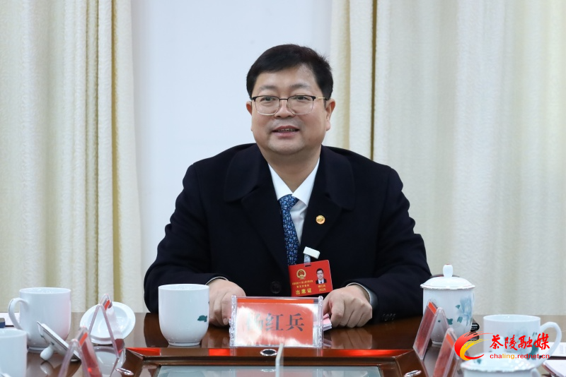 茶陵县第十八届人民代表大会第五次会议：各代表团进行分团讨论 杨红兵、唐杰、何文龙等领导参加