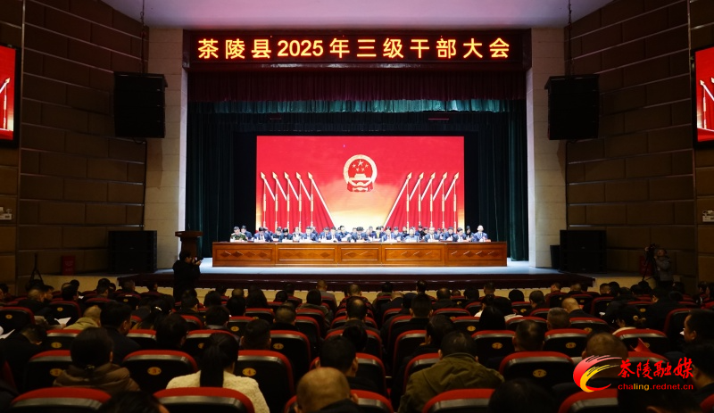 2025年茶陵县三级干部大会暨打造“三个高地”讲评、实施“三个年”“七大攻坚”活动动员部署会召开