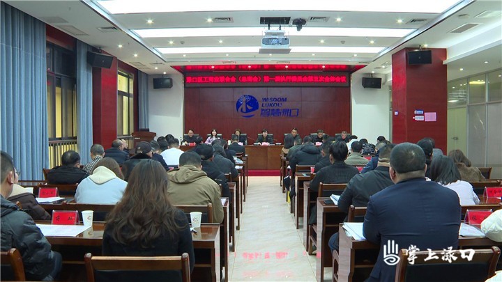 渌口区工商联（总商会）召开一届执行委员会第五次会议