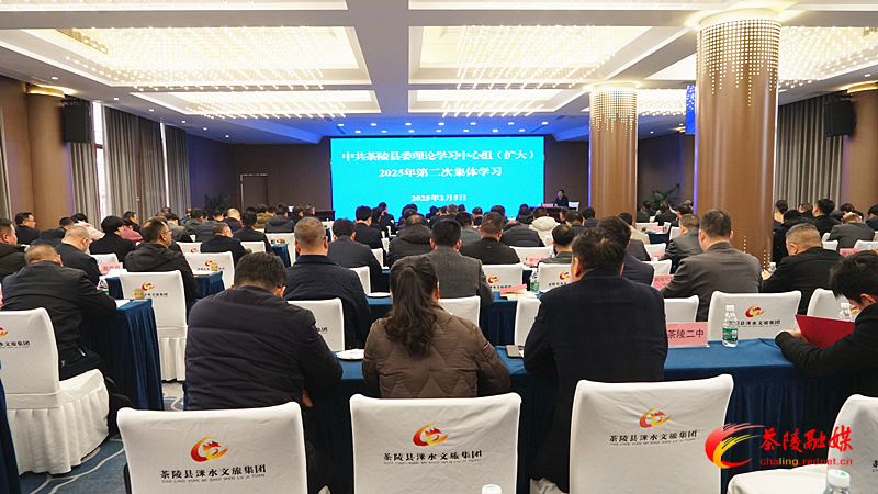 中共茶陵县委理论学习中心组(扩大)2025年第二次集体学习会召开