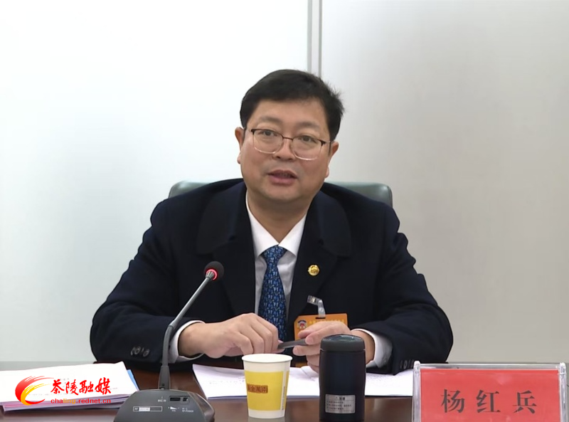 政协茶陵县第十届委员会第五次会议:开展分联组第二次讨论 杨红兵、唐杰、刘晓伟等领导参加讨论