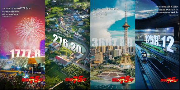 奋进笃行 | 株洲市统计局2024年工作回顾