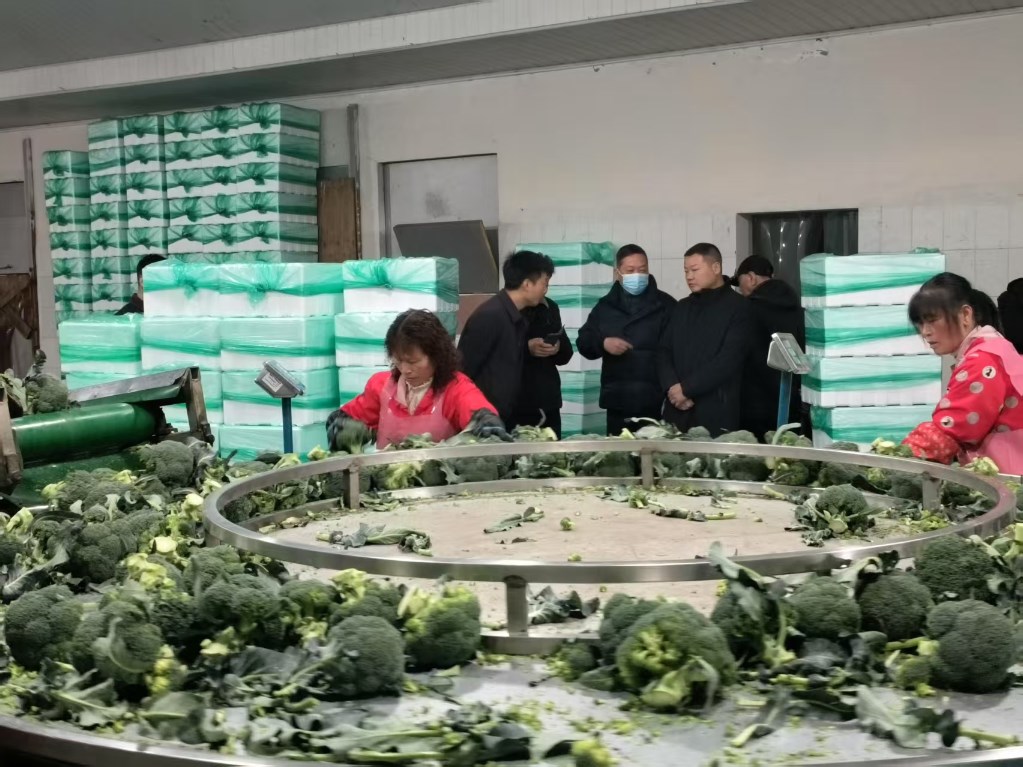 学习先进经验 深化产业合作——古岳峰镇党委书记率队赴浙江开展招商考察