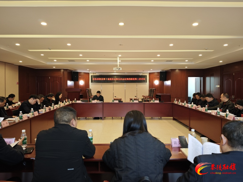 政协茶陵县第十届委员会第五次会议:开展分联组第二次讨论 杨红兵、唐杰、刘晓伟等领导参加讨论