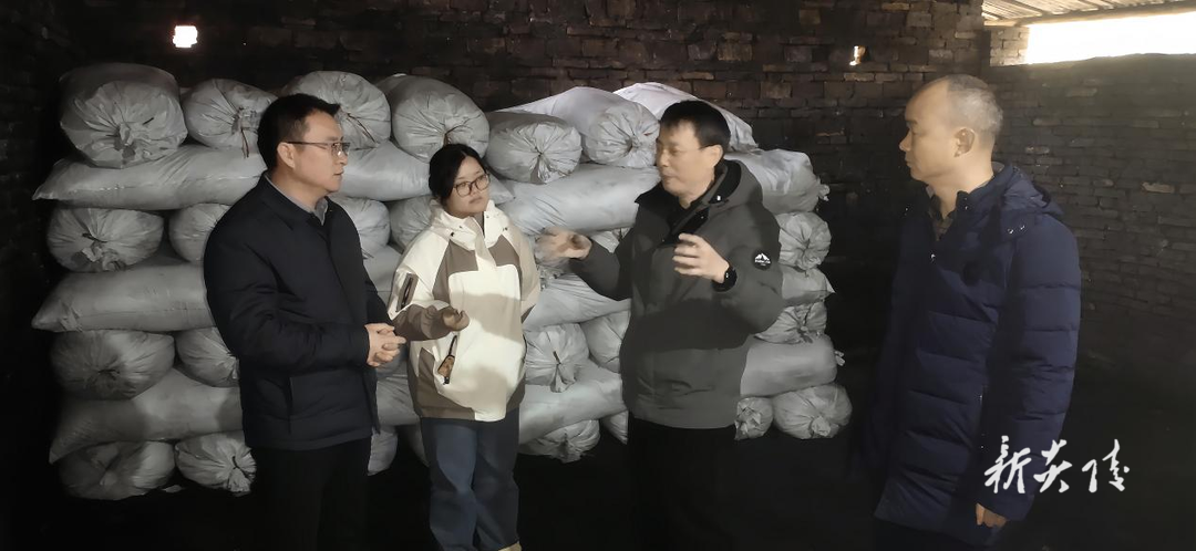 垄溪乡：走访企业听心声 优化营商促发展