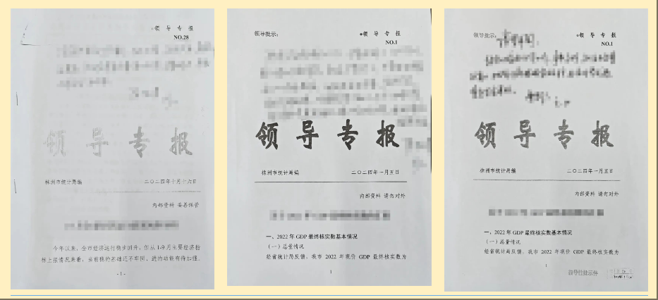 奋进笃行 | 株洲市统计局2024年工作回顾