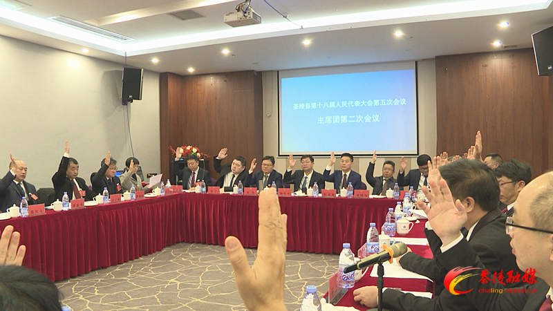 茶陵县第十八届人民代表大会第五次会议：召开主席团第二次会议