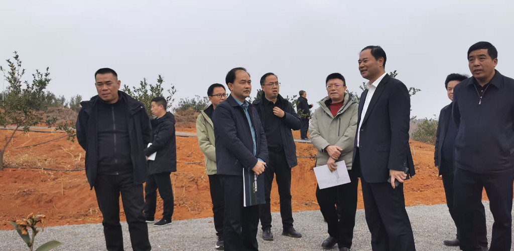 株洲市赴衡阳市考察学习油茶奖补项目建设