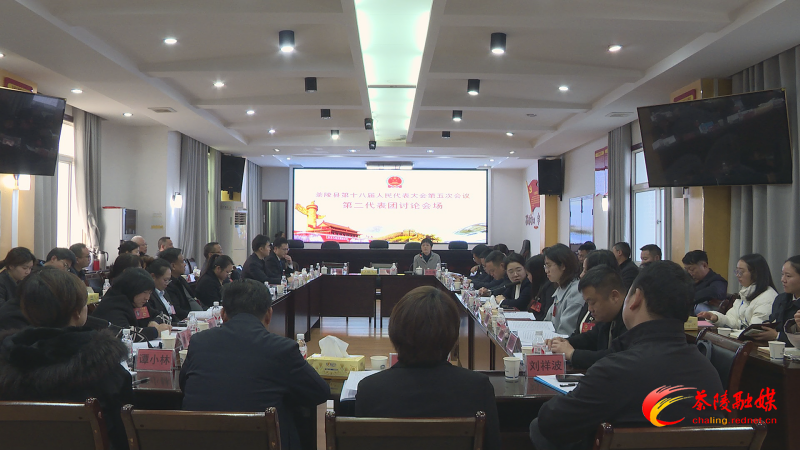 茶陵县第十八届人民代表大会第五次会议：各代表团进行分团讨论 杨红兵、唐杰、何文龙等领导参加
