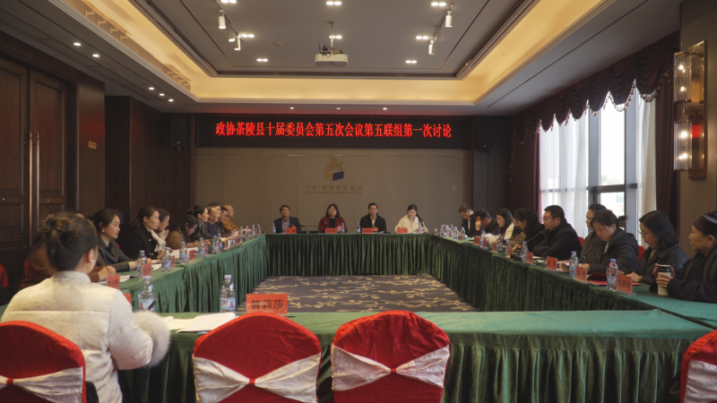 政协茶陵县第十届委员会第五次会议：开展分联组第一次讨论 刘晓伟等领导参加讨论
