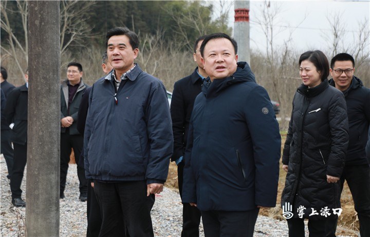 柏连阳来渌口区调研粮食生产暨全域水稻安全生产示范区建设工作