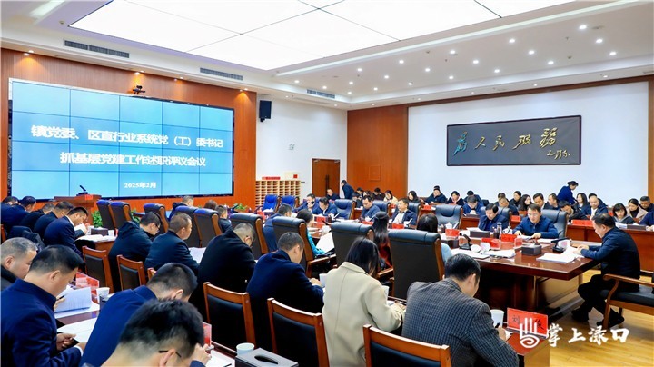渌口区召开2024年度镇党委和区直行业系统党（工）委书记抓基层党建工作述职评议会议