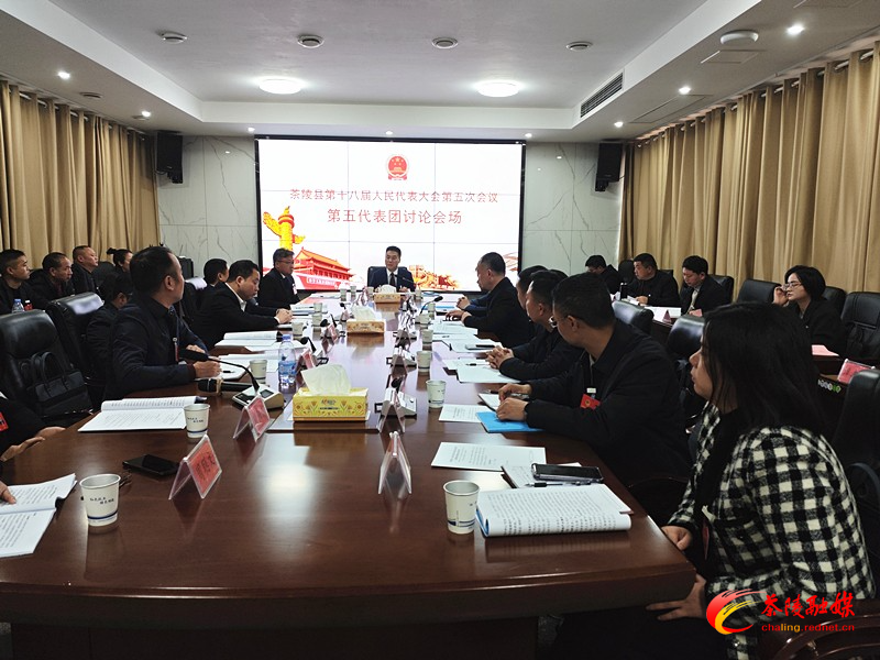 茶陵县第十八届人民代表大会第五次会议：各代表团进行分团讨论 杨红兵、唐杰、何文龙等领导参加