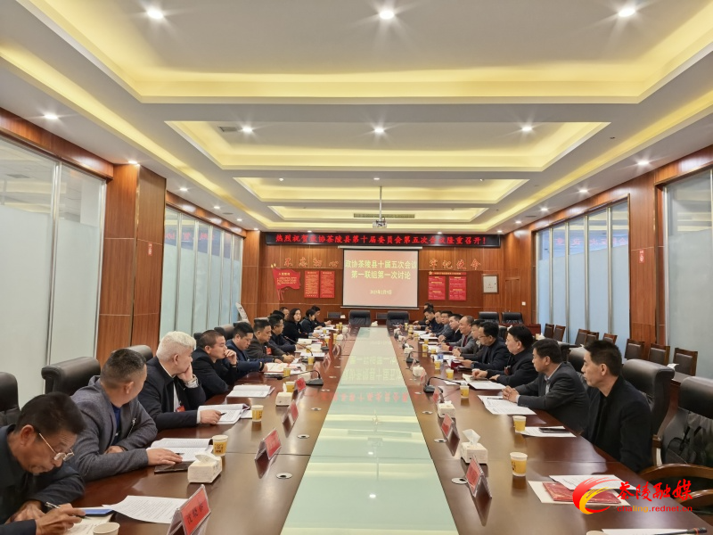 政协茶陵县第十届委员会第五次会议：开展分联组第一次讨论 刘晓伟等领导参加讨论