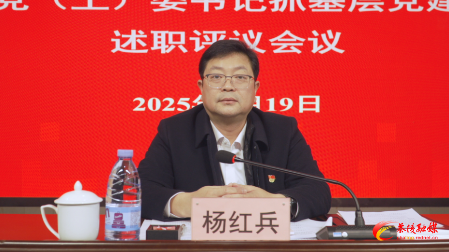 茶陵县召开2024年度乡镇（街道）、县直行业系统党（工）委书记抓基层党建工作述职评议会