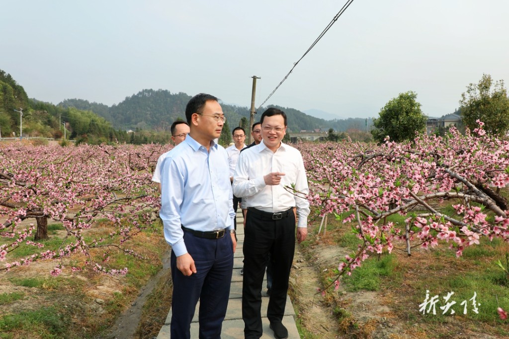 何恩广在炎陵县调研并巡林巡田