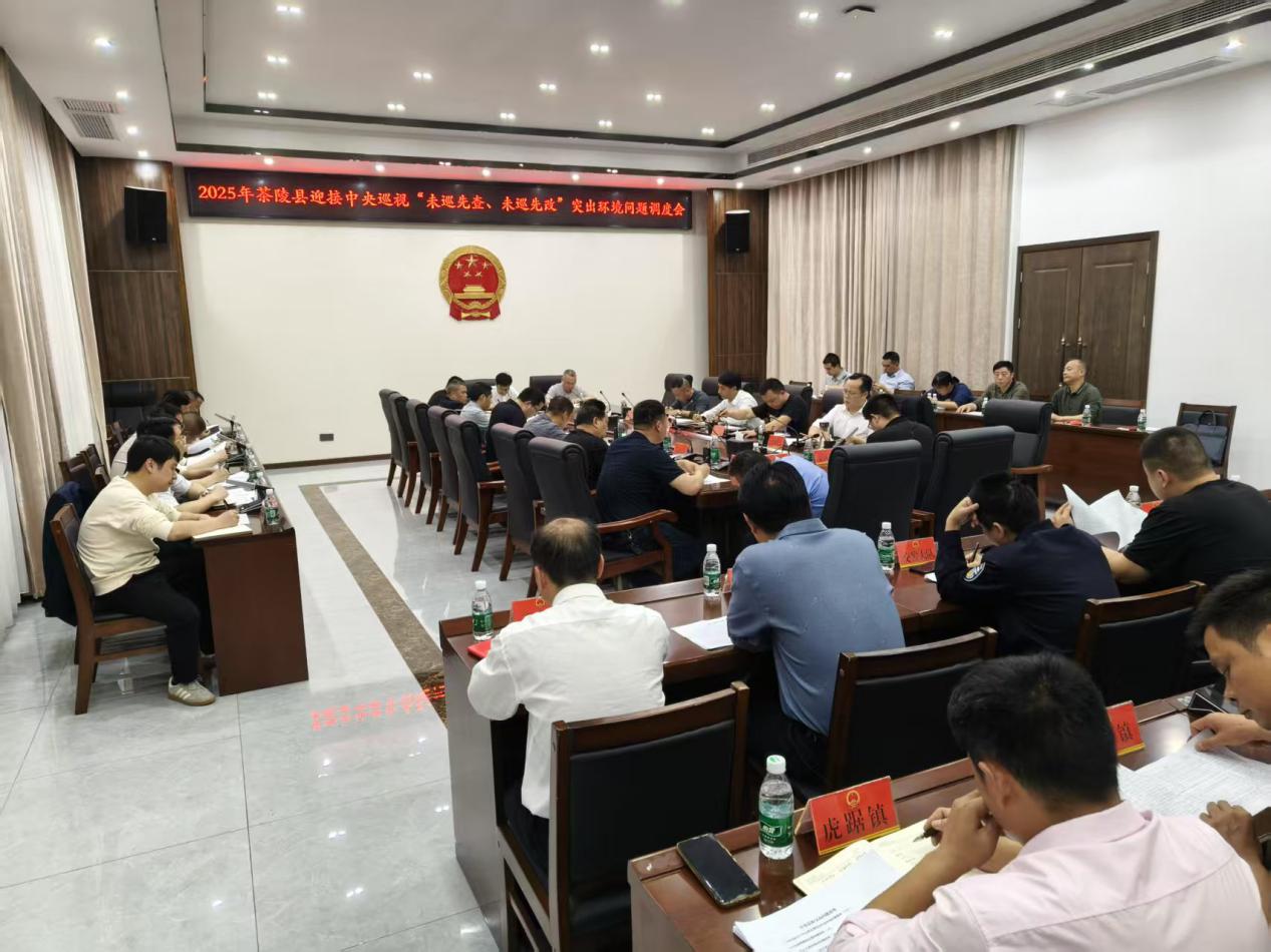 茶陵："未巡先查、未巡先改" 强力推进突出环境问题整改