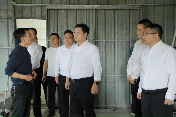 杨红兵到湖口镇调研
