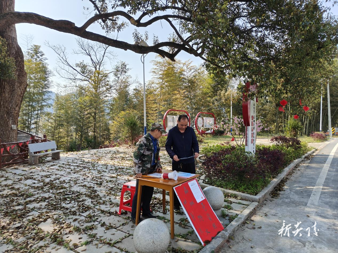沔渡镇：“三全”护绿意 筑牢“防火墙”