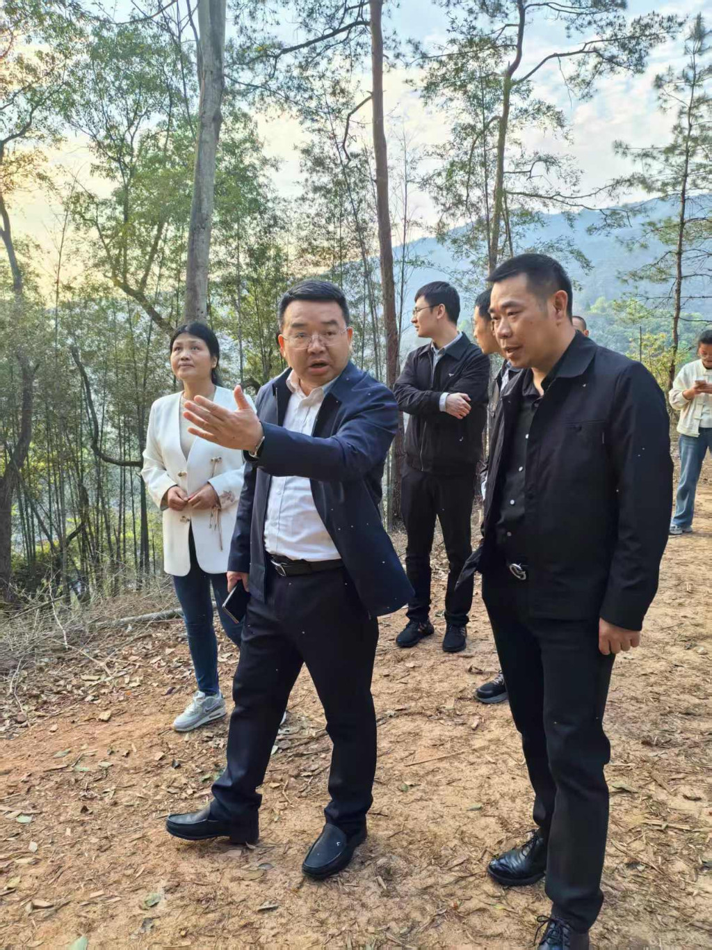 市林业局党组书记、局长周述勇赴炎陵、茶陵、攸县调研林业重点项目、重点工作