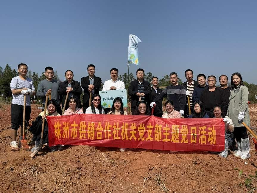 市供销社开展义务植树主题党日活动