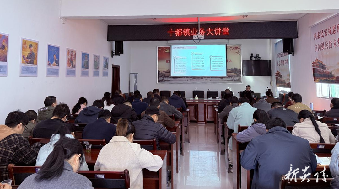 十都镇：举办业务大讲堂 以“三型三业三地”擘画高质量发展蓝图