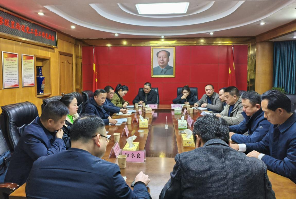 十三届县委第十轮巡察第一巡察组巡察联星街道党工委工作动员会召开