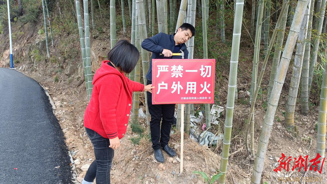 [湖南日报]炎陵县霞阳镇：人大代表“三力”齐发 筑牢森林“防火墙”
