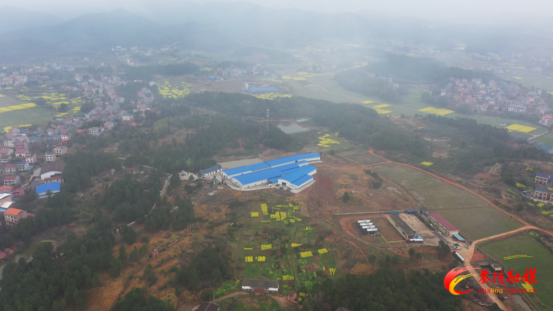 茶陵：小蘑菇住进“智能房”