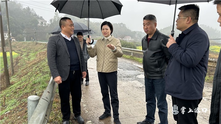 赖晓智调研春修水利、春耕备耕等工作
