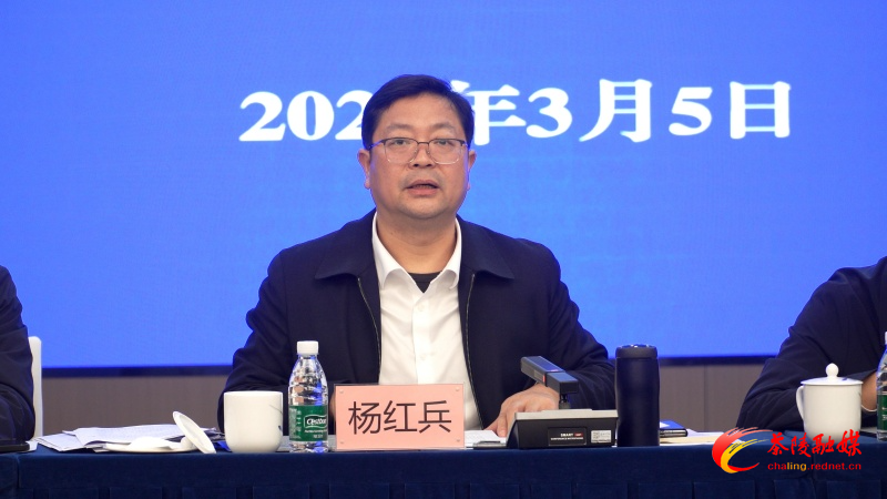 茶陵县争资争项工作及经济“开门红”工作部署调度会议召开