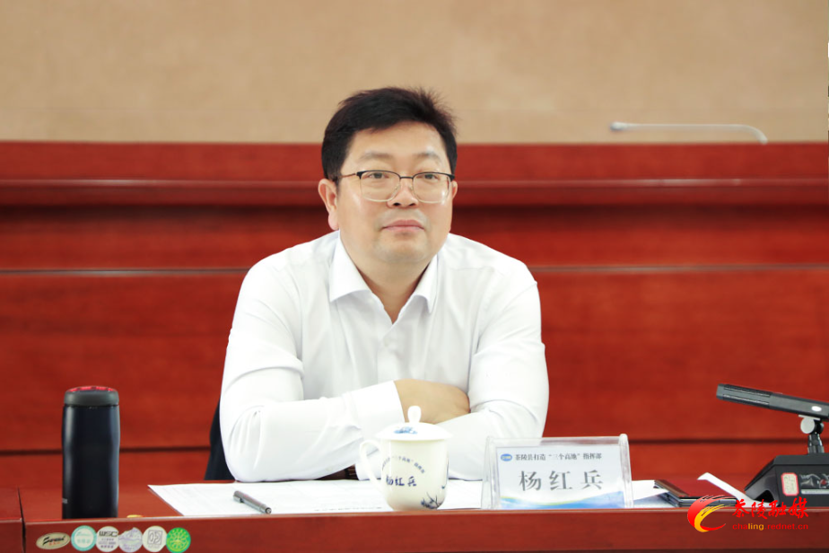 杨红兵调度全县重点项目
