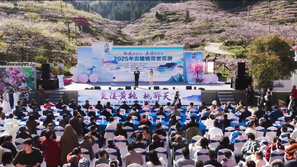 “桃花朵朵开 炎陵等您来”——2025年炎陵桃花赏花游主题活动在中村瑶族乡开幕