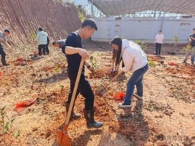 株洲市应急管理局开展2025年义务植树活动
