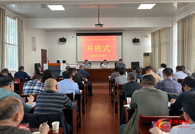 茶陵县2025年第一期科级干部进修班开班
