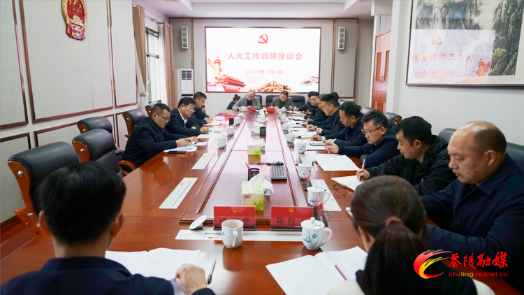杨红兵到县人大、县政协机关调研