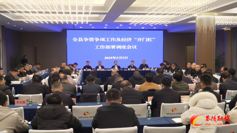 茶陵县争资争项工作及经济“开门红”工作部署调度会议召开