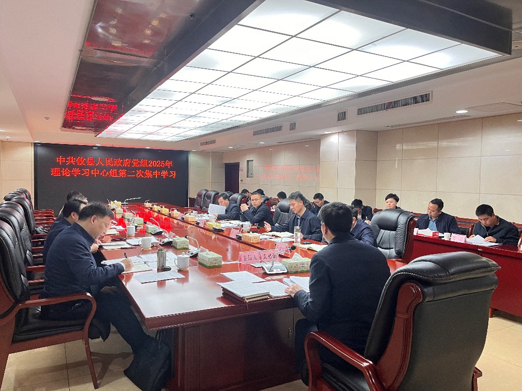 攸县人民政府党组开展2025年理论学习中心组第二次集中学习