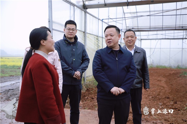李晓彤到南洲镇调研春耕生产、乡镇履职事项清单工作