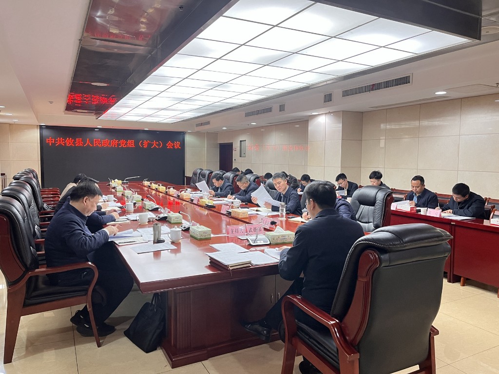 攸县人民政府党组召开（扩大）会议
