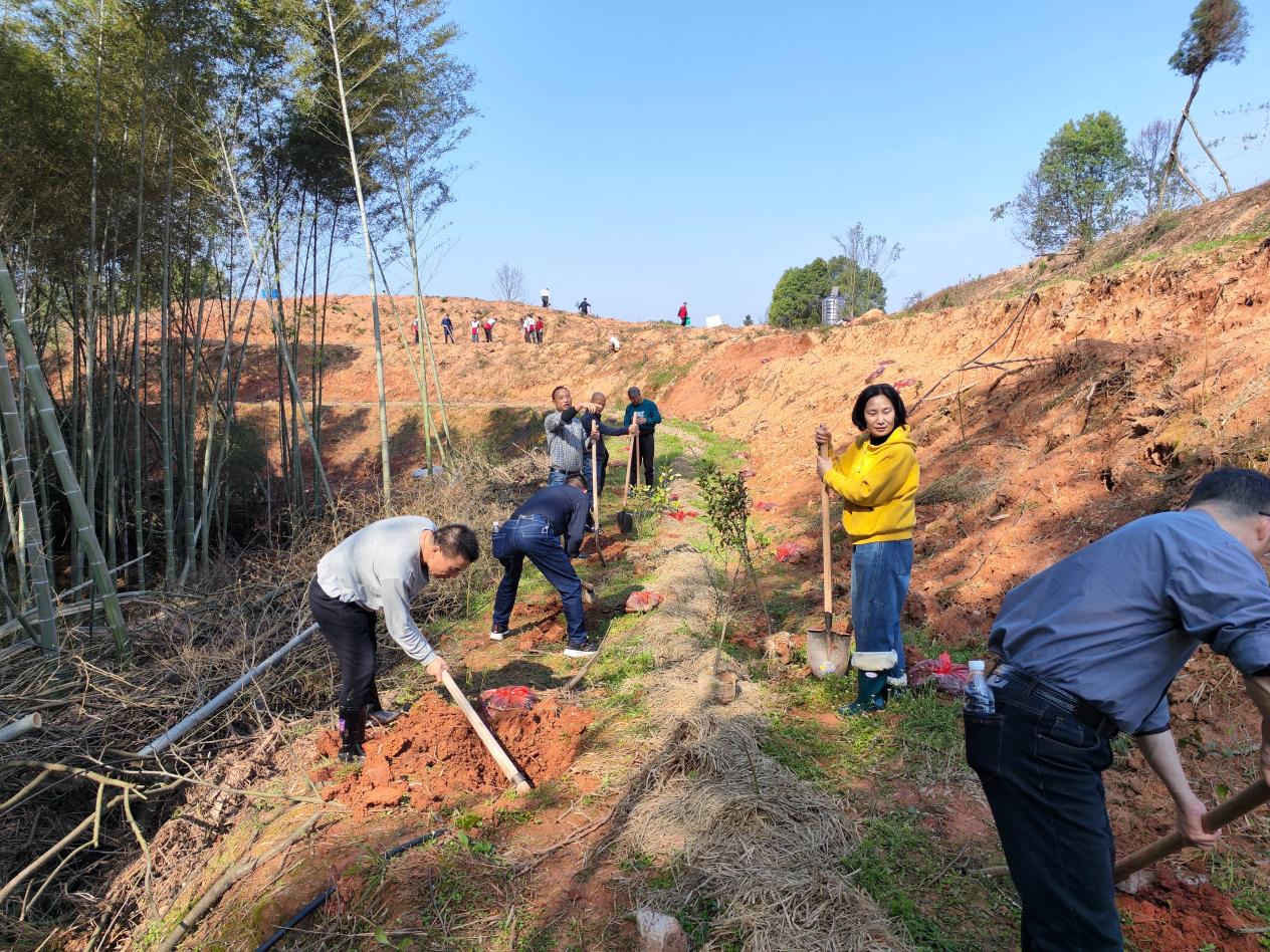 市生态环境局开展2025年义务植树活动