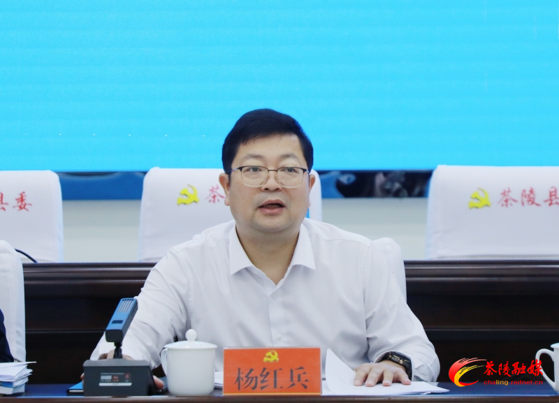 茶陵县委统一战线工作领导小组2025年第一次全体会议召开