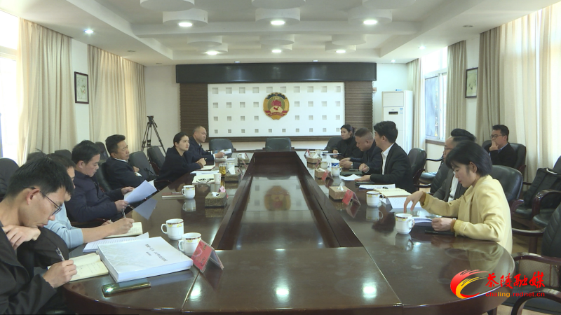 南宋古城（一二总街）保护开发利用专家协商会召开